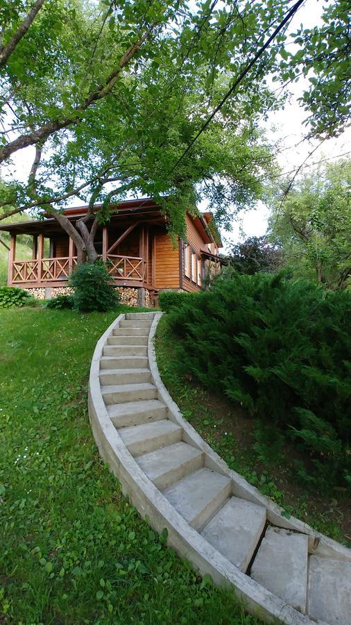Country House Kosiv Bagian luar foto